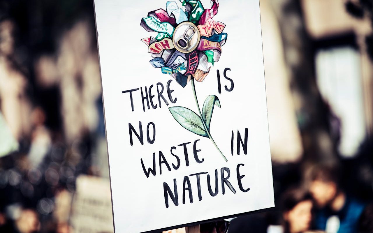 pexels-markusspiske-2990641